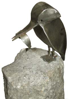 Eisvogel