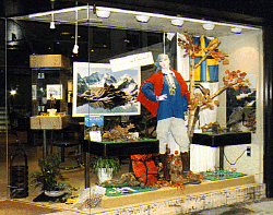 Schaufenster