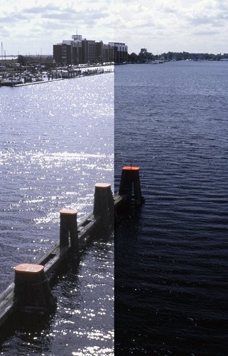 Vergleich mit oder ohne Polfilter