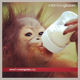 Orang Utan mit Flasche
